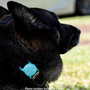 3/4" Collar & Strap ID Tag Compatible with Air Tag